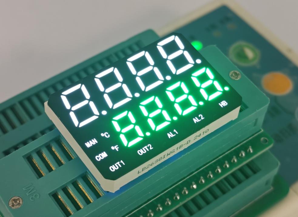 Ultra Bright White and Pure Green Excel Outdoors