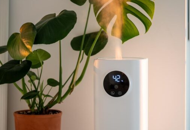 多功能显示器将7段清晰度与触摸技术相结合